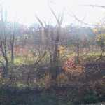 2013-11-03 14.17.25