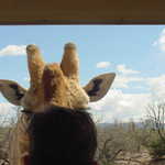 DSC00013.jpg