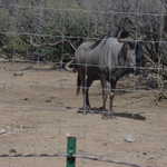 DSC00019.jpg