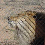 DSC00031.jpg