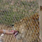 DSC00037.jpg