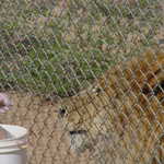 DSC00038.jpg