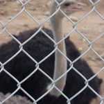 DSC00044.jpg