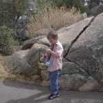 IM002573.jpg