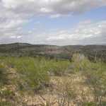 IM002595.jpg
