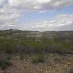 IM002596.jpg