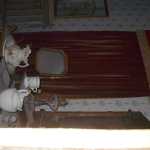 IM002686.jpg