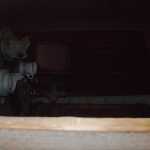 IM002688.jpg