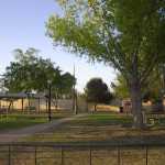 IM002761.jpg