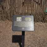 IM002822.jpg