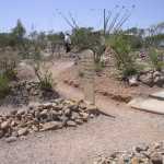 IM002827.jpg