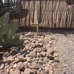 IM002838.jpg