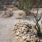 IM002860.jpg