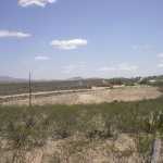 IM002870.jpg