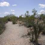 IM002874.jpg