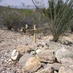 IM002897.jpg