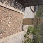 IM002899.jpg