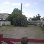 IM002958.jpg