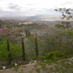 IM002970.jpg