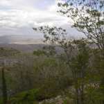 IM002971.jpg