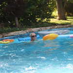 IMG 0047