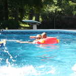 IMG 0054