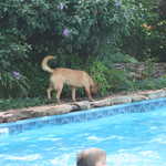 IMG 0086