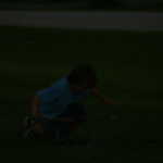 IMG 0247