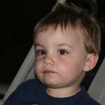 IMG 0269