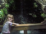 whisper by the waterfall