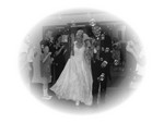 BubblesSEGRAY