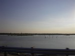 IM000541