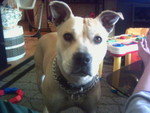 1st pics 002