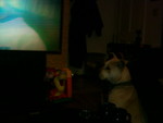 Chandas New Camera 051