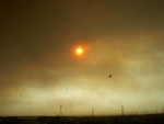 Highlight for Album: Colorado Fires - 2002