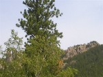 im001256