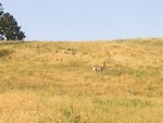 im001294
