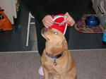 DSCN0031