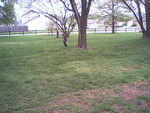 20031116-002