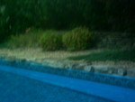 PICT0154