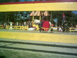 5-10-05 005