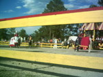 5-10-05 006