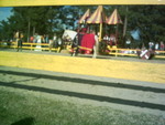 5-10-05 007