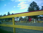 5-10-05 016