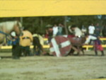 5-10-05 023