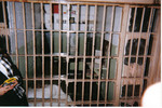 escape-cell