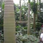IM001832.JPG