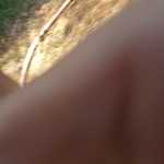 20160711 104215