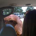 2013-06-28 13-26-22 122