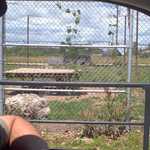 2013-06-28 13-29-02 627